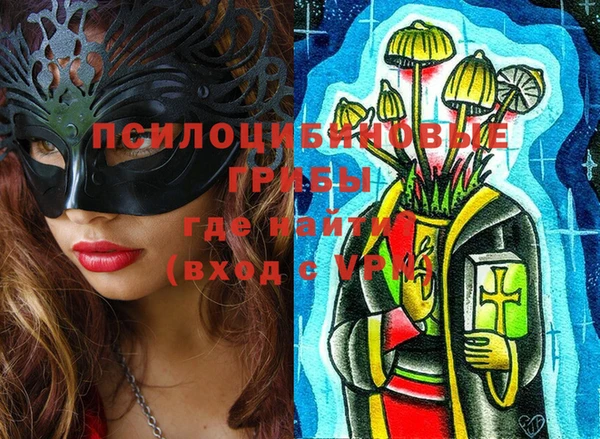 ГАЛЛЮЦИНОГЕННЫЕ ГРИБЫ Алексеевка