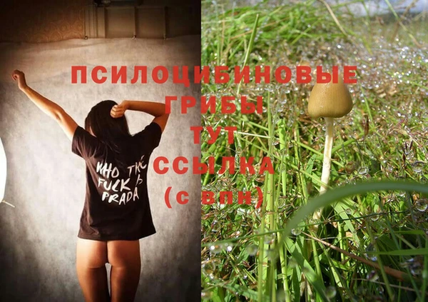 ГАЛЛЮЦИНОГЕННЫЕ ГРИБЫ Алексеевка