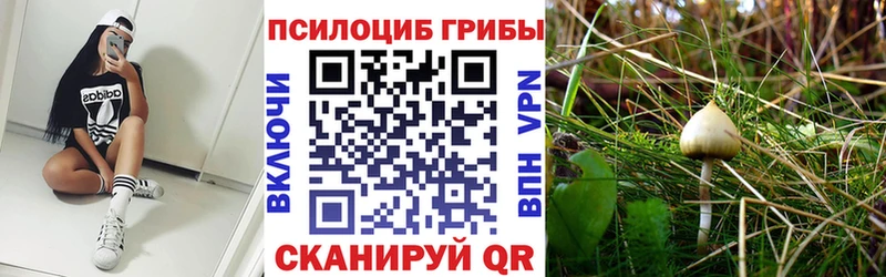 закладка  Мантурово  Псилоцибиновые грибы Magic Shrooms 